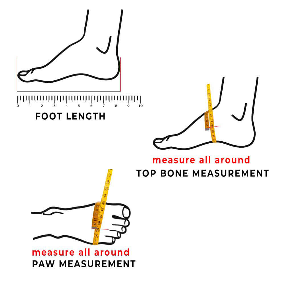 How To Measure