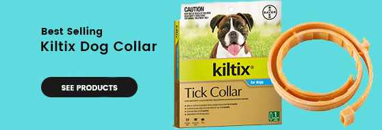 Kiltix Dog Collar