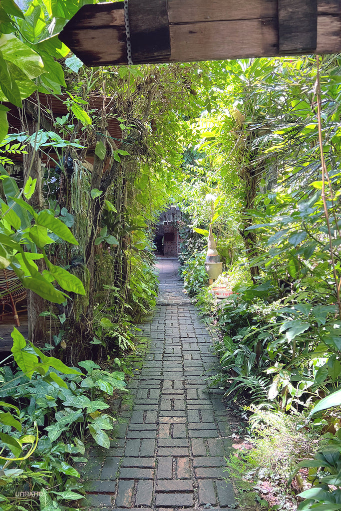Narrow brick pathway leading through a lush garden in a Melaka courtyard, invoking a sense of tranquility.
