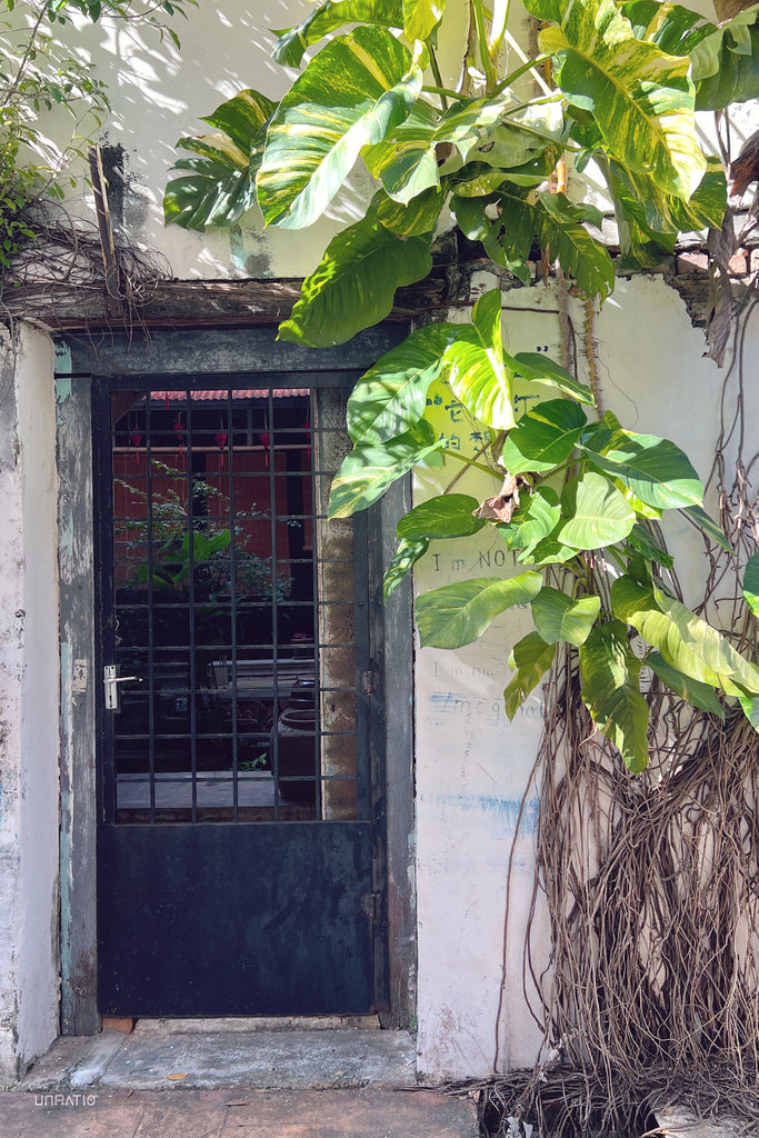 Rustic doorway in Melaka framed by wild tropical plants, illustrating the city's natural overgrown beauty