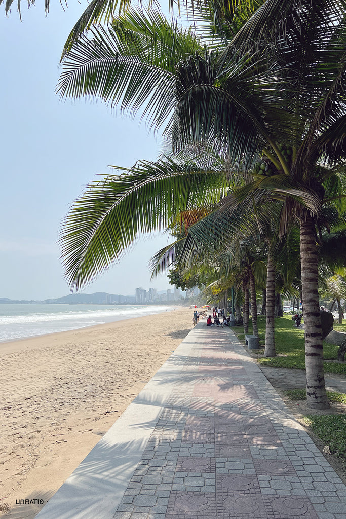 Palm-lined beachfront promenade in Nha Trang, Vietnam, with clear blue skies and gentle waves lapping the shore, offering a serene urban escape.