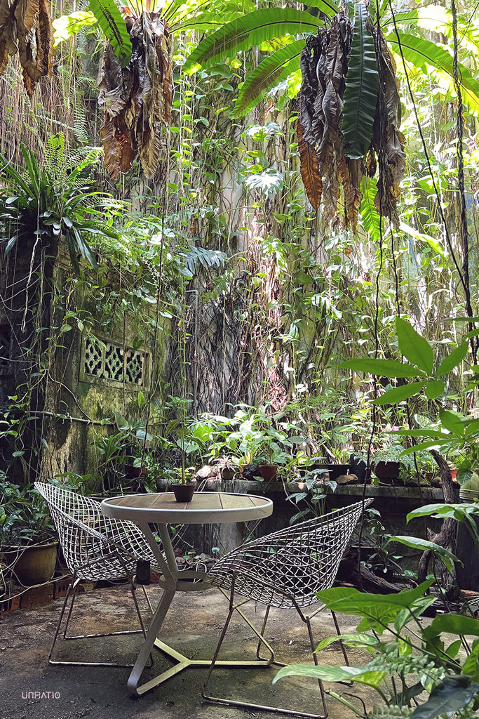 Secluded tropical courtyard cafe in Melaka with lush foliage, hanging plants, and modern wire chairs.