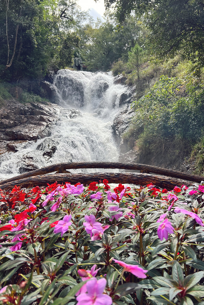 Dalat's natural splendor captured in a serene waterfall surrounded by lush vegetation, with a foreground of blooming flowers, inviting exploration on foot.