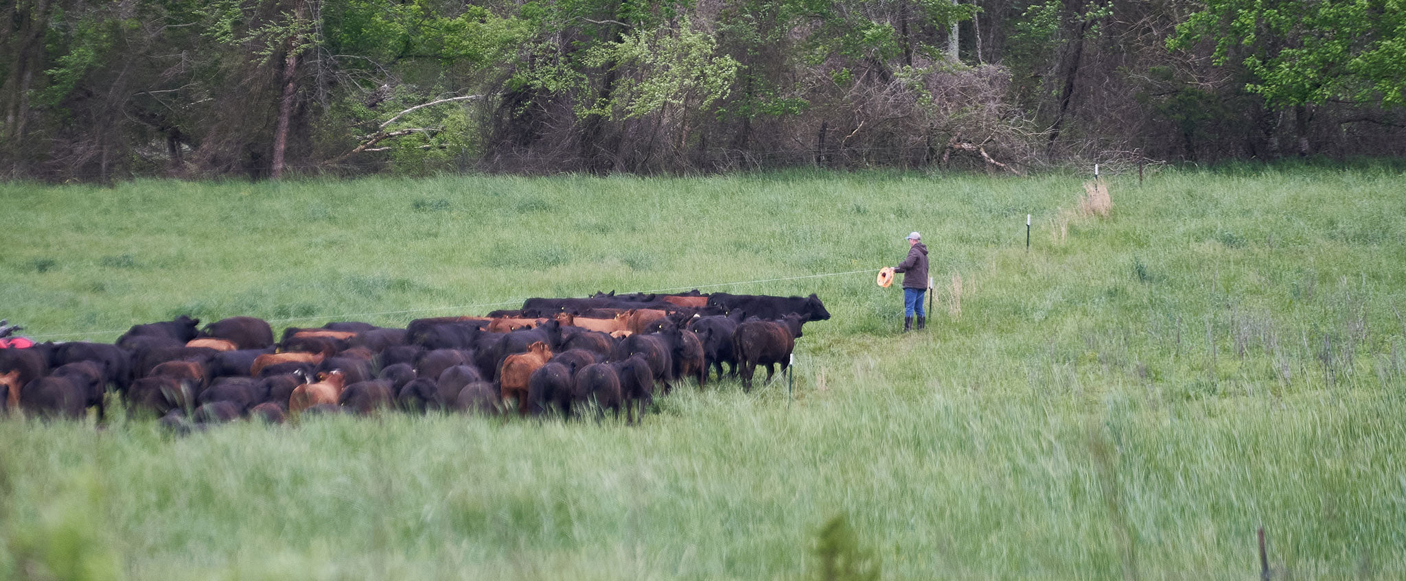 Rotational Grazing