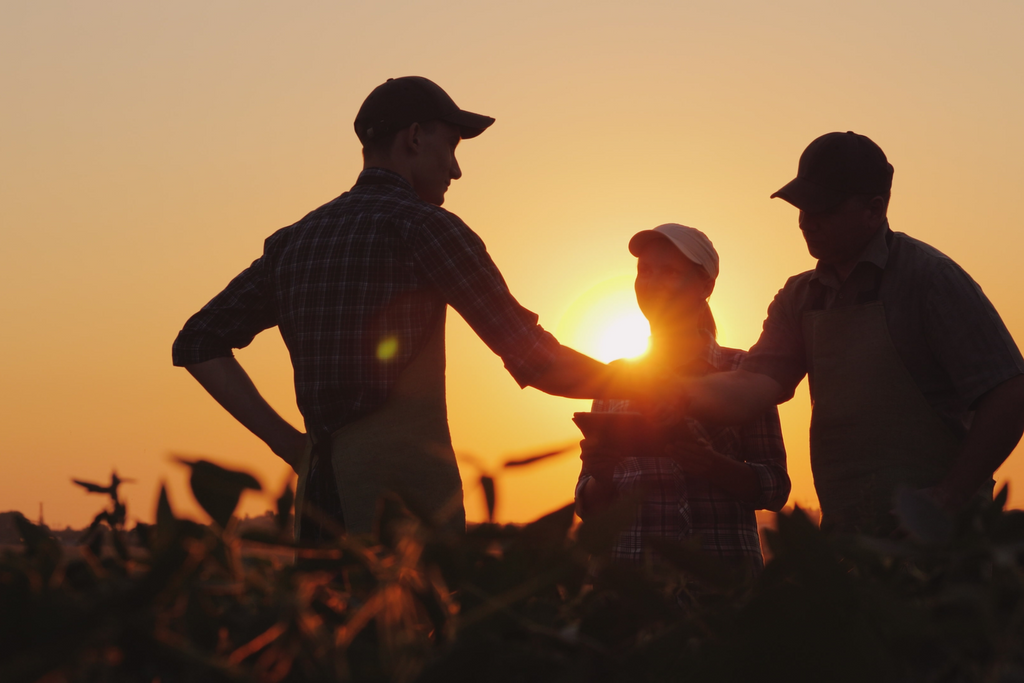 Grass Roots Farmers