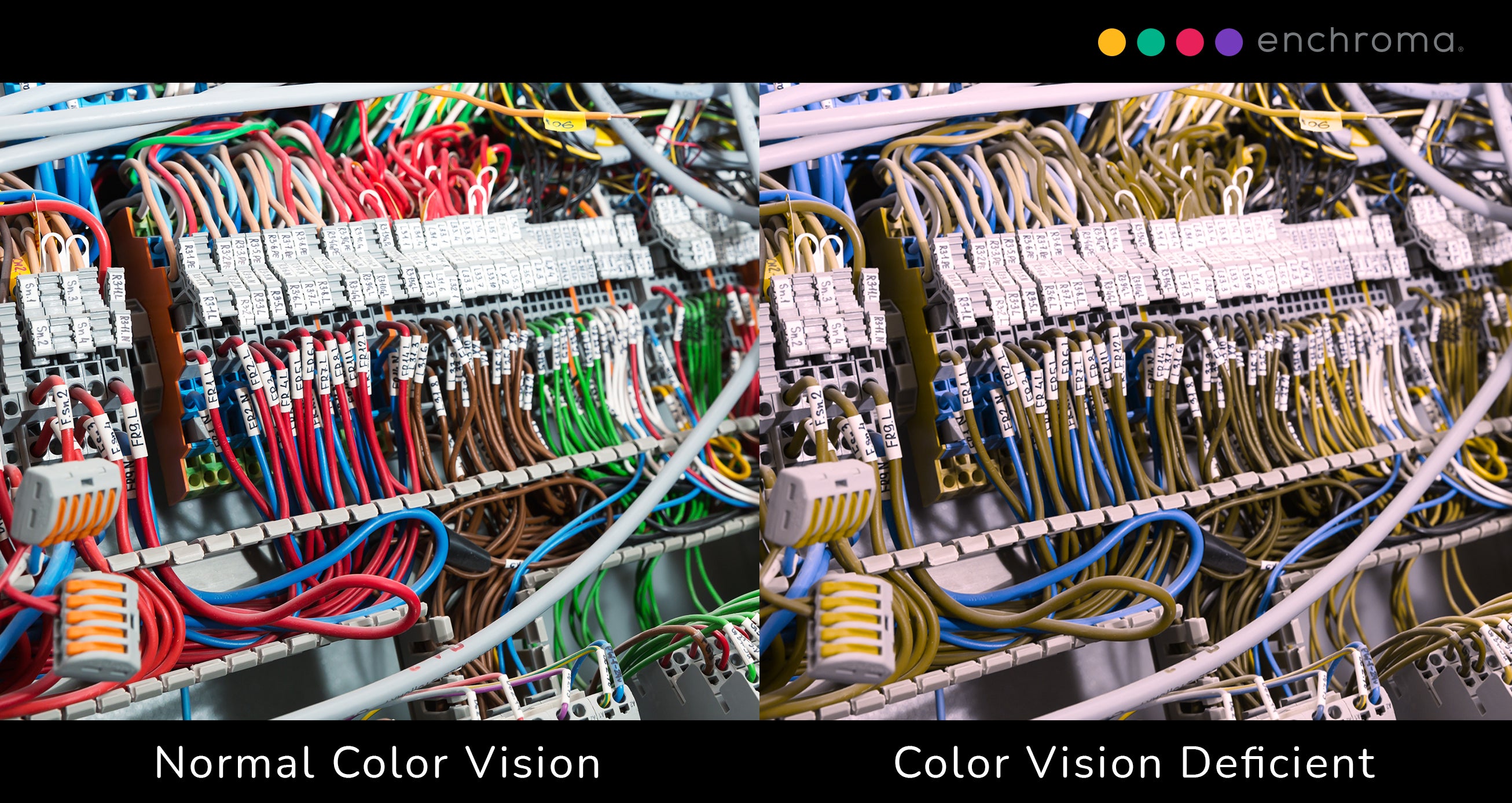 Spider Web of Colorful Wires: Color Blind View vs. Normal View
