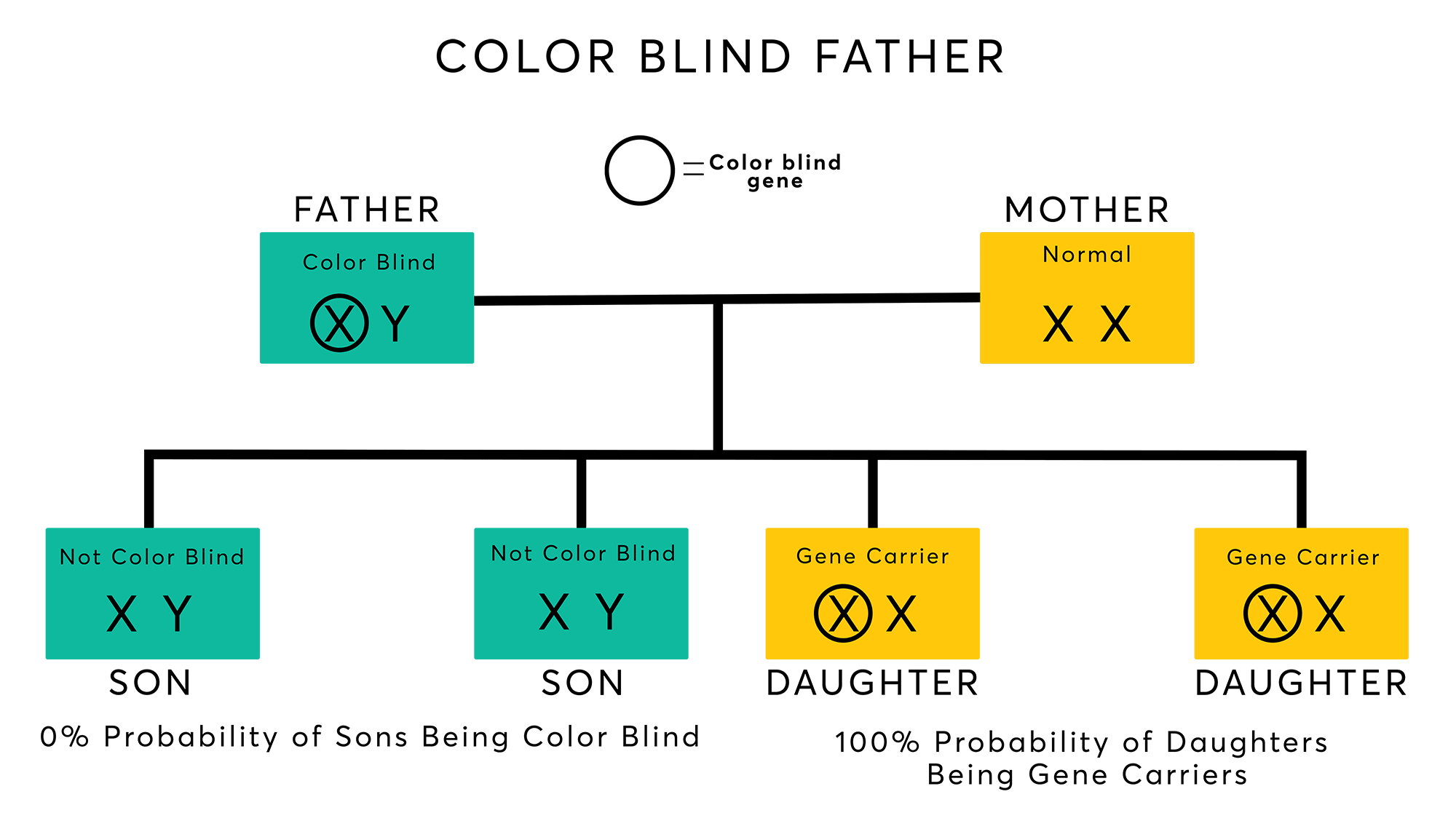 Color Blindness Pedigree