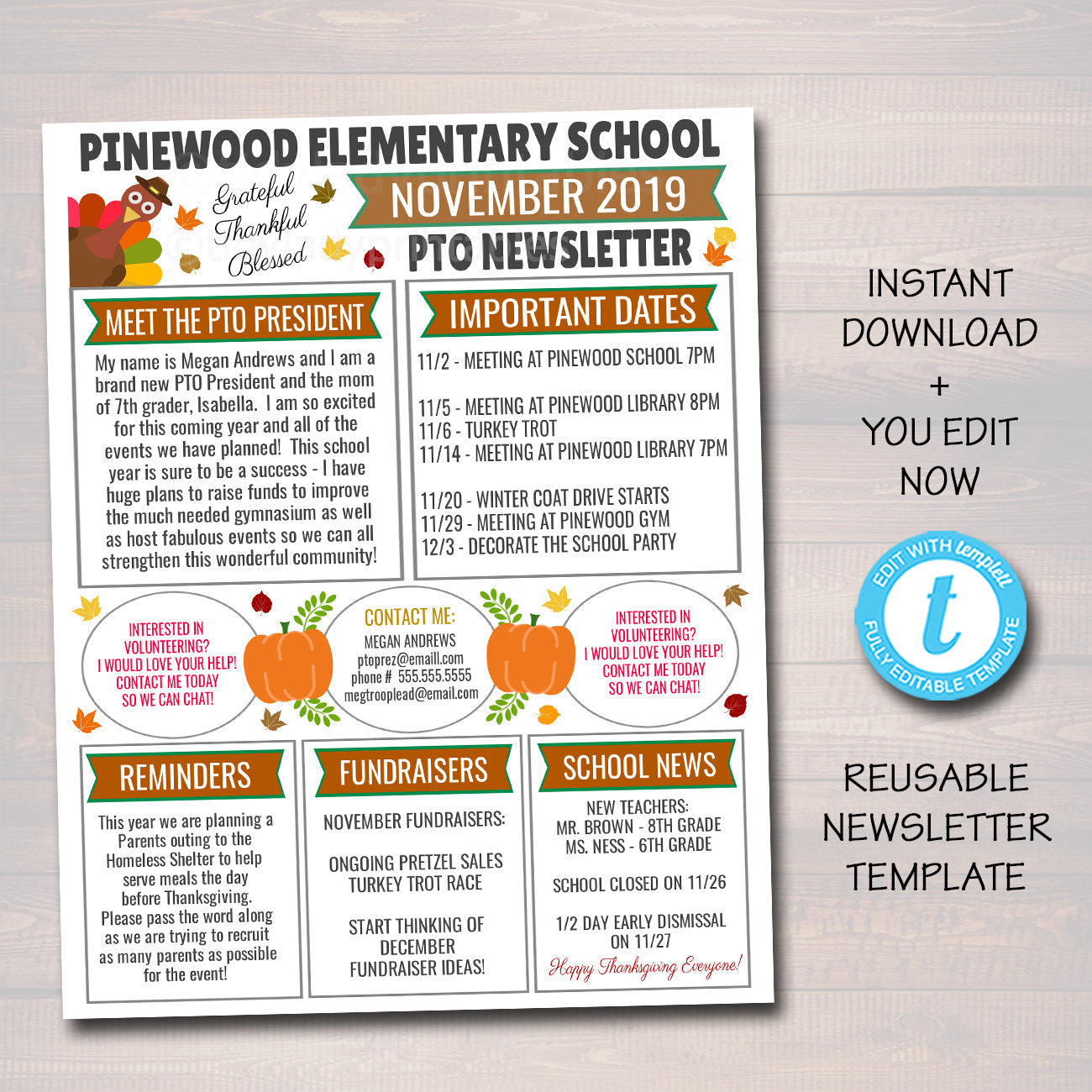 winter holiday newsletter template