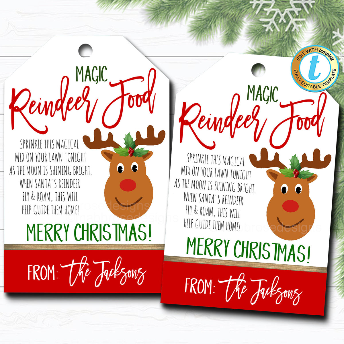 Holiday Magic Reindeer Food Gift Tag | TidyLady Printables