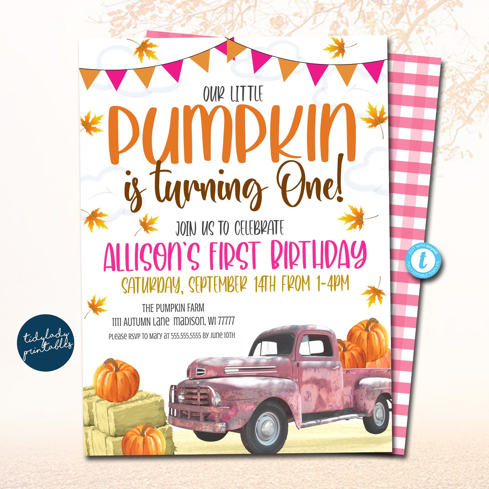 editable 1st birthday invitation cards templates