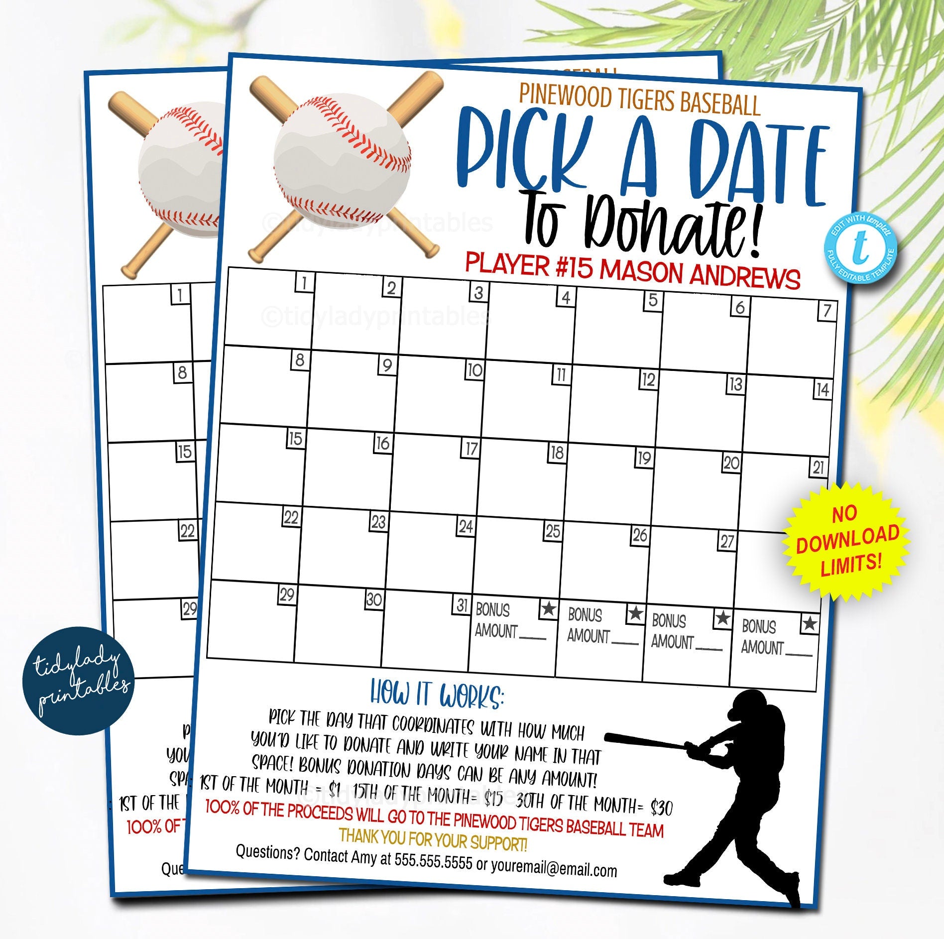 Free Calendar Fundraiser Template Baseball Printable Calendar