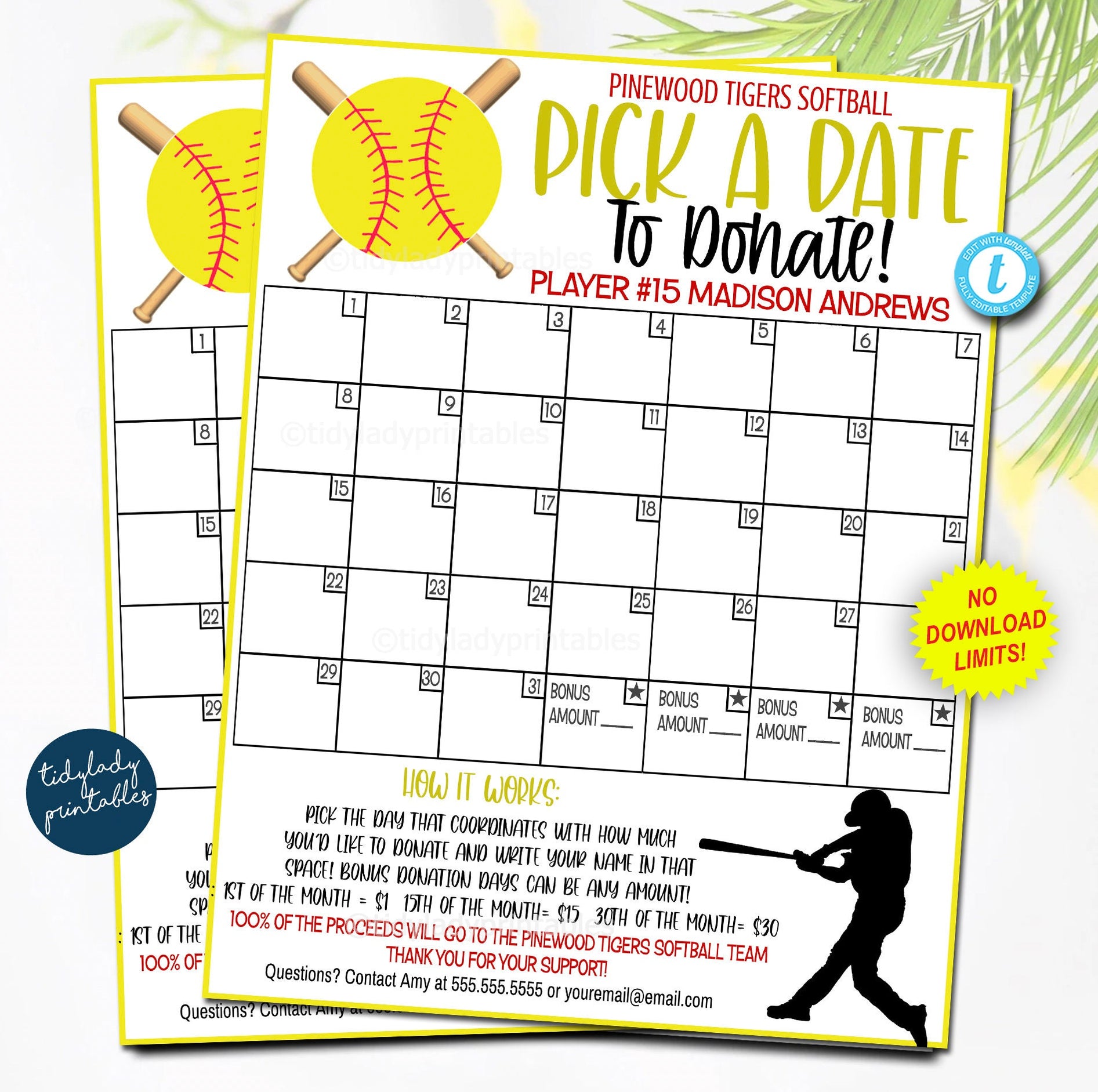 Softball Pick a Date to Donate Printable Editable Template — TidyLady