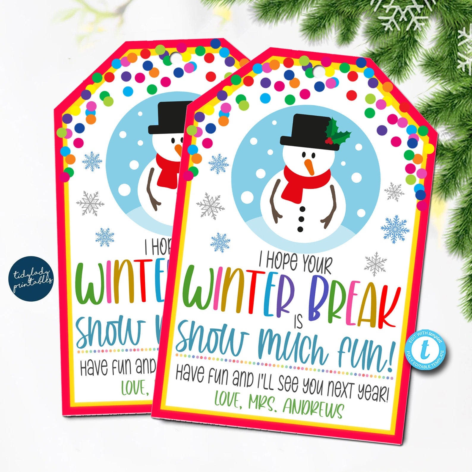 Snow Fun - Sticker Gift Tags Pack