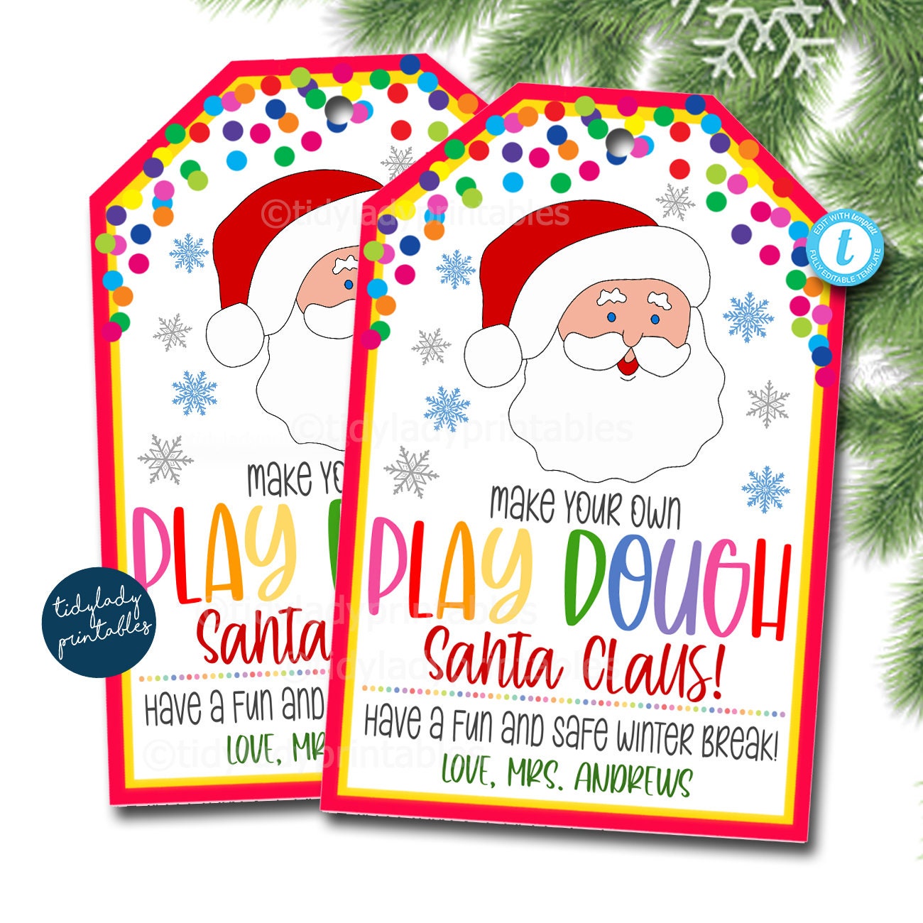 Christmas Gift Labels Template  Printable Gift Tags from Santa Claus