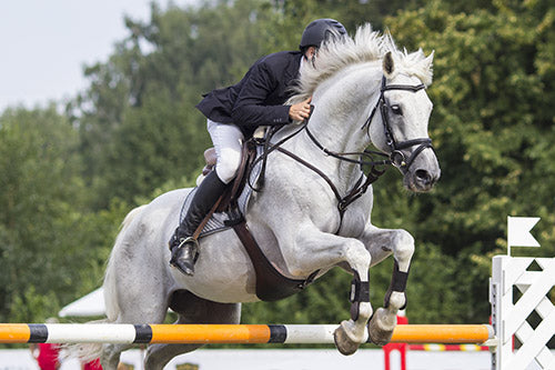 horse jumping over an obstacle