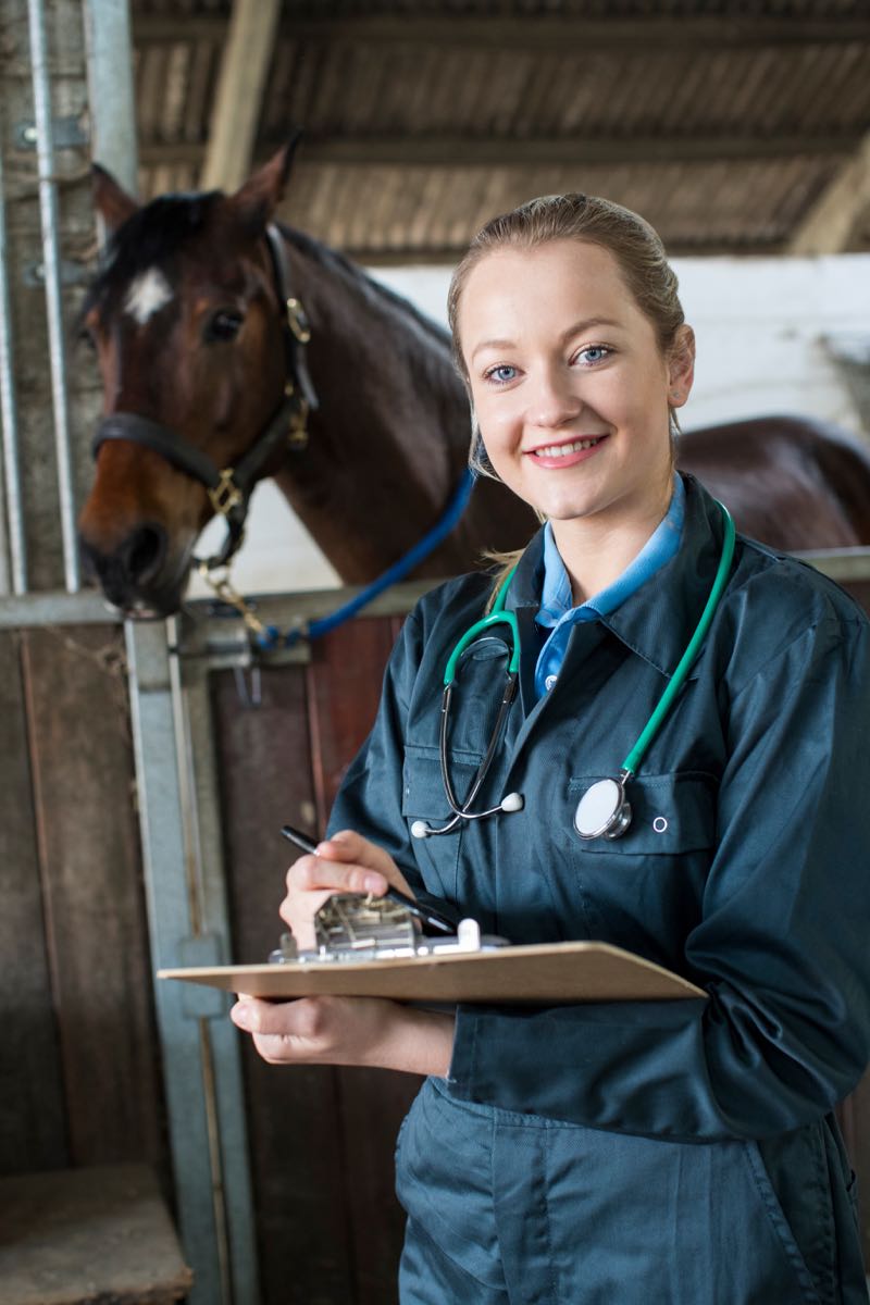 veterinarian