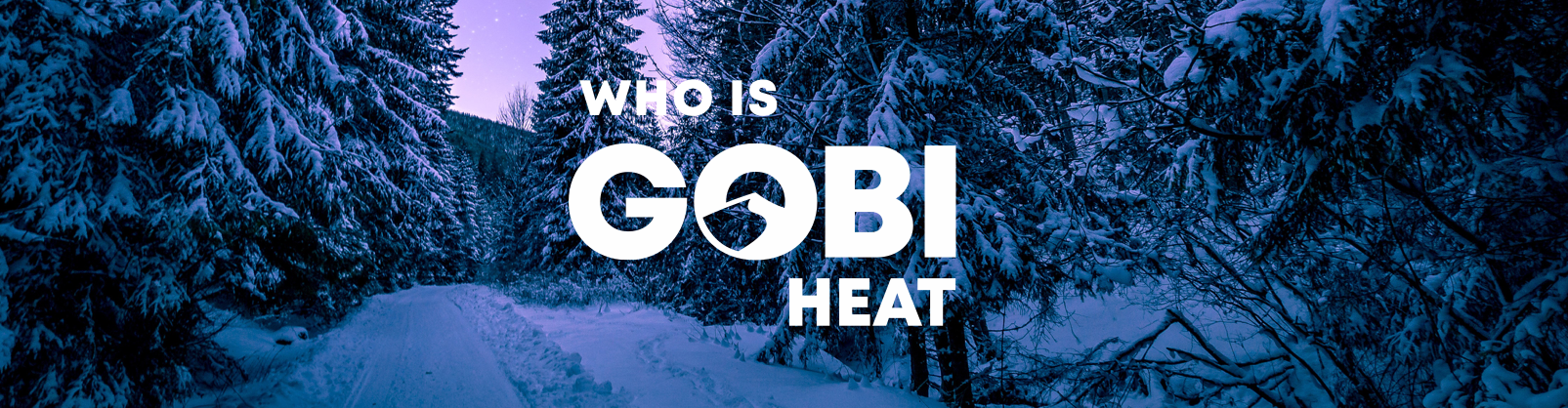 who is gobi heat banner