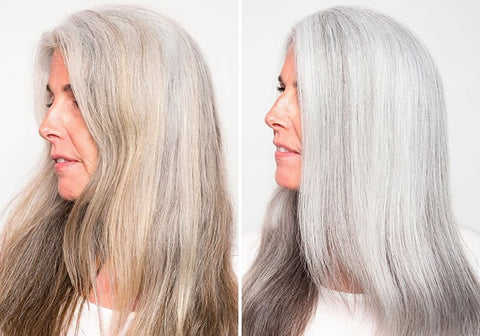 Silver Hair Transforming Regimen – earths cure
