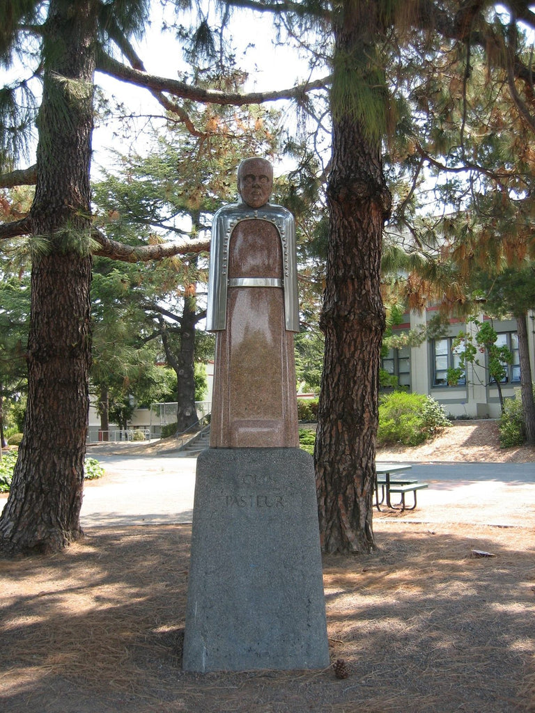 A horrifying looking statue of Louis Pasteur, in San Rafael, with a stone base and a bronze statue of the man.