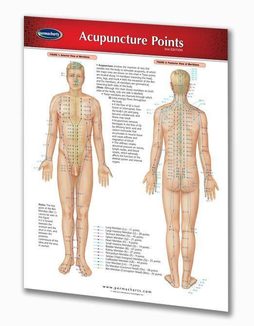 Body Trigger Points Chart