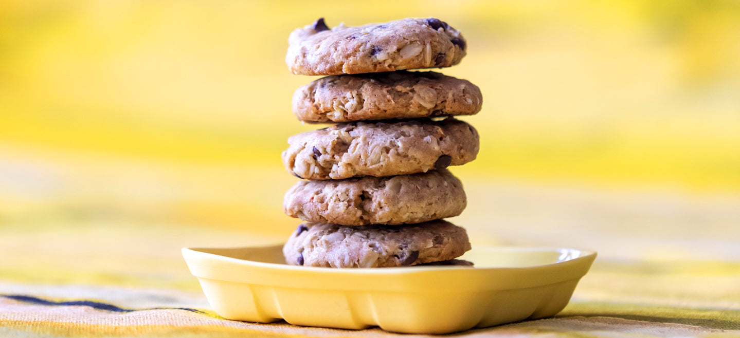 allergy friendly oatmeal chocolate chip cookies