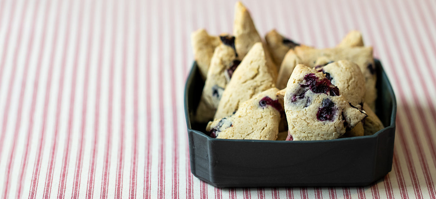 allergy friendly blueberry vanilla cookies