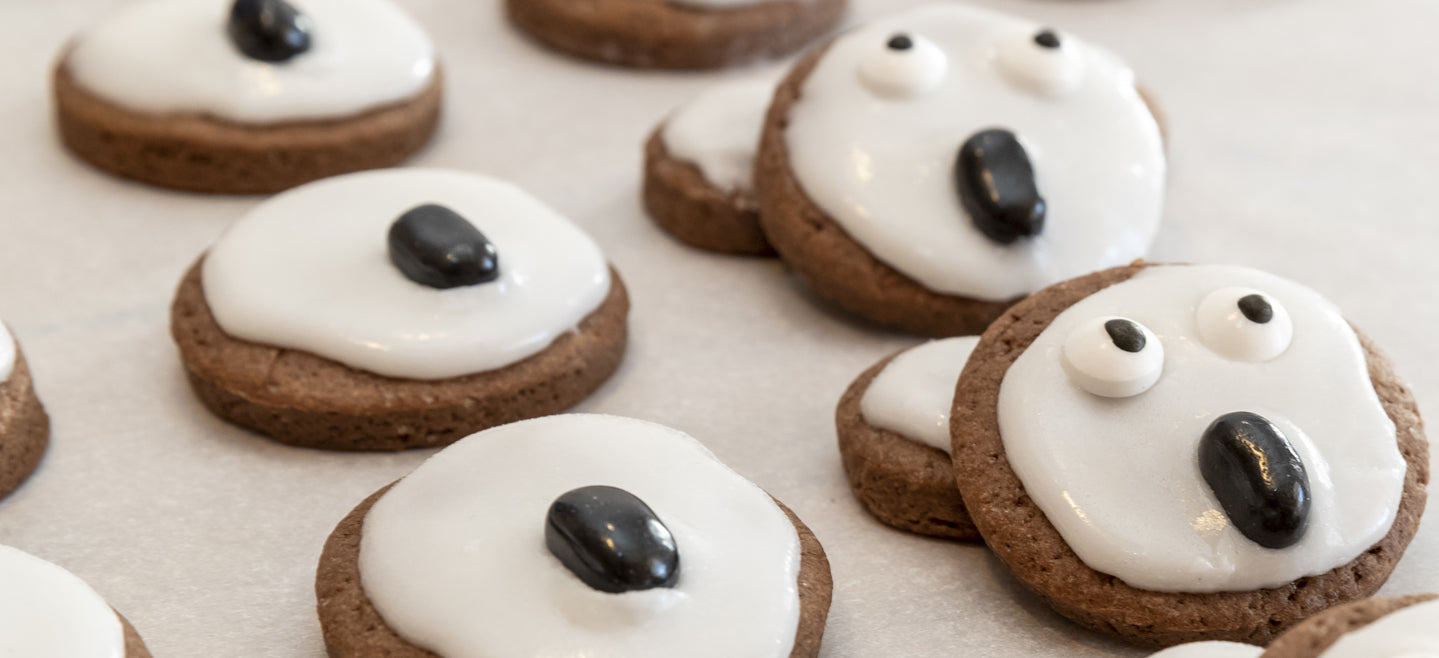 allergy friendly gluten free koala cookies