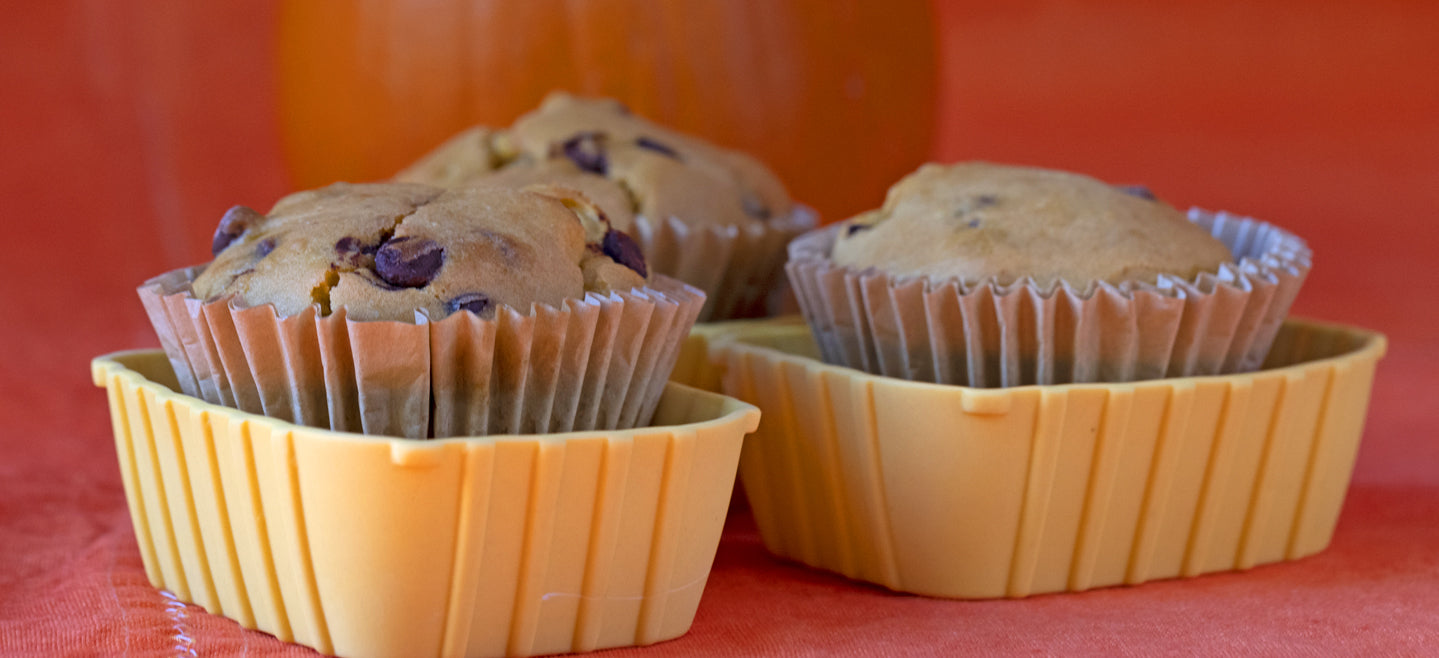 allergy friendly gluten free pumpkin chocolate chip muffins