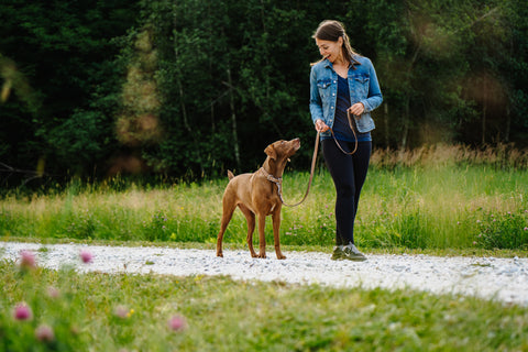 Woman in black pants and jean jacket walks her tan dog outside on path.