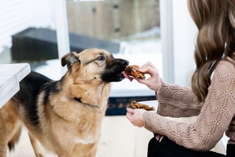 Woman feeds Mighty Paw Cow Kneecap to tan dog inside.