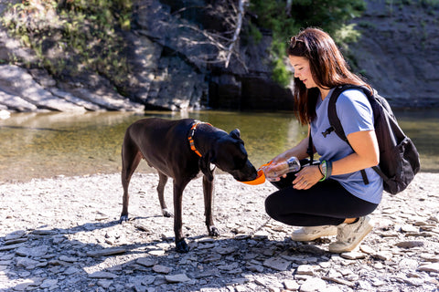 Woman on hike with dog using Mighty Paw Water Bottle to give dog a drink of water.