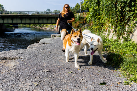 Woman walks her two dogs outside by a river using the Mighty Paw Double Dog Leash.