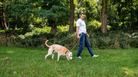 Founder of Mighty Paw walking outside with his dog Barley using the Mighty Paw Hands Free Leash.
