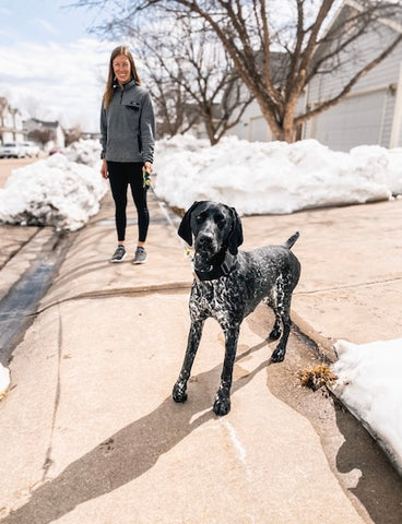 Walking a German Shorthaired Pointer on Mighty Paw's Retractable Dog Leash 2.0