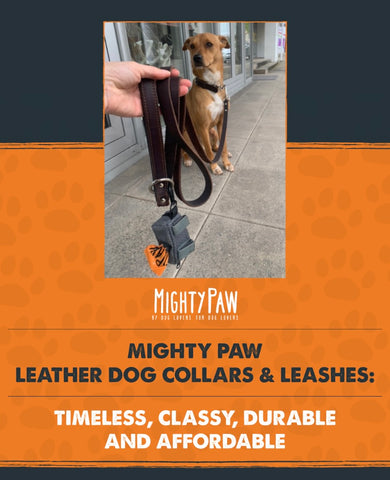 Mighty Paw Leather Dog Collars & Leashes