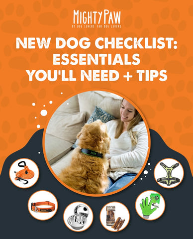 Mighty Paw Blog: New Dog Checklist - Essentials you'll need + tips