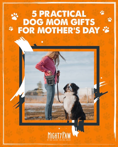 5 Practical Dog Mom Gifts for Mother's Day