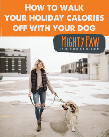 MightyPaw.com | How To Walk Your Holiday Calories Off With Your Dog