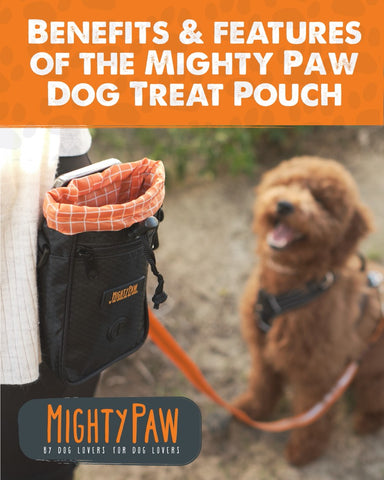 Mighty Paw | Benefits & Features Of The Mighty Paw Dog Treat Pouch