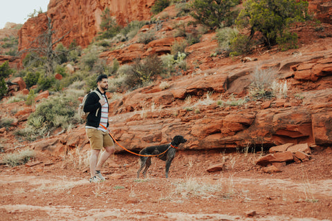 Man hiking with his dog using Mighty Paw Leash.