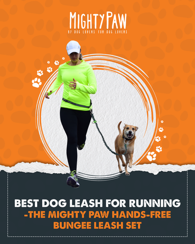 Best dog leash for running - the Mighty Paw hands-free bungee leash set