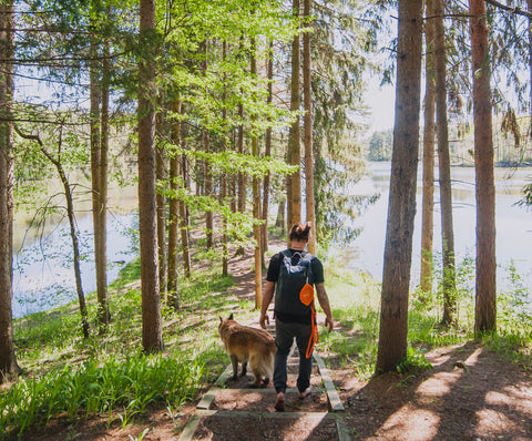 Man walking in the woods with his dog with Mighty Paw orange Collapsible Bowl tied to his backpack.