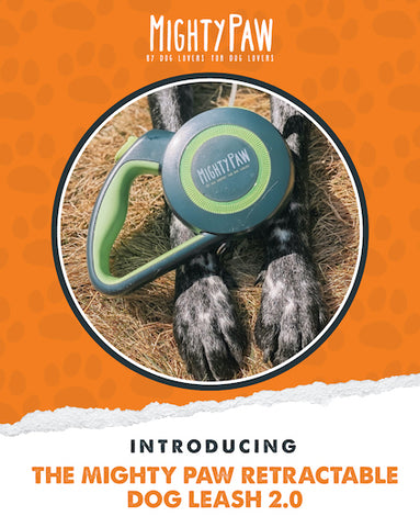 Introducing the Mighty Paw Retractable Dog Leash 2.0