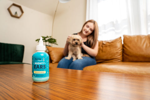 Woman sitting on the couch petting her small tan dog with Mighty Ears ear drops on the table in front of them.