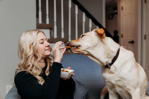 Woman with blonde hair in black shirt feeds her tan dog sweet potato treats.