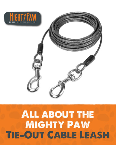 All about the Mighty Paw Tie-Out Cable Leash