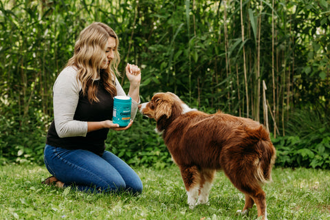 Blonde woman with her brown dog outside feeding the dog Mighty Immune Chews.