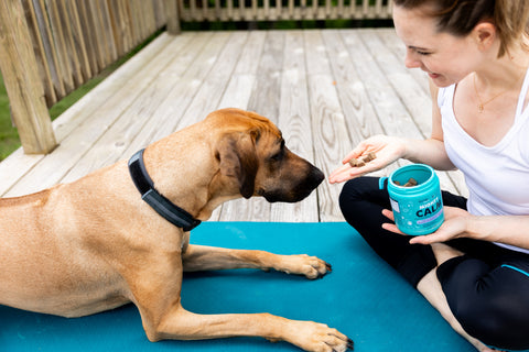 Tan dog and woman sit on turquoise yoga mat while woman gives dog Mighty Calm supplement.
