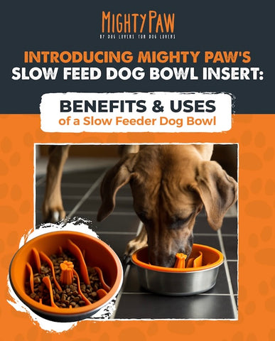 https://cdn.shopify.com/s/files/1/0011/0775/5059/files/MightyPaw.com_Benefits_Uses_of_a_Slow_Feeder_Dog_Bowl_480x480.jpg?v=1631623609