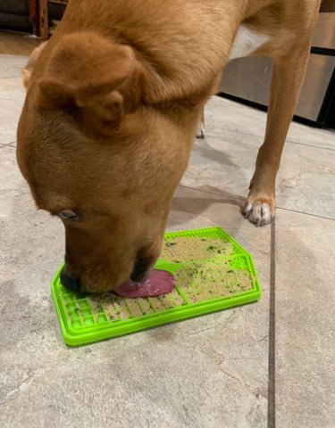 Dog licking tasty dog food off the Mighty Paw Dog Lick Pad